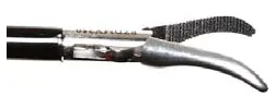 PZDMY 251