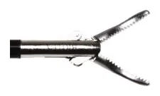 PZDMY 250