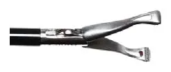 PZBAA 250